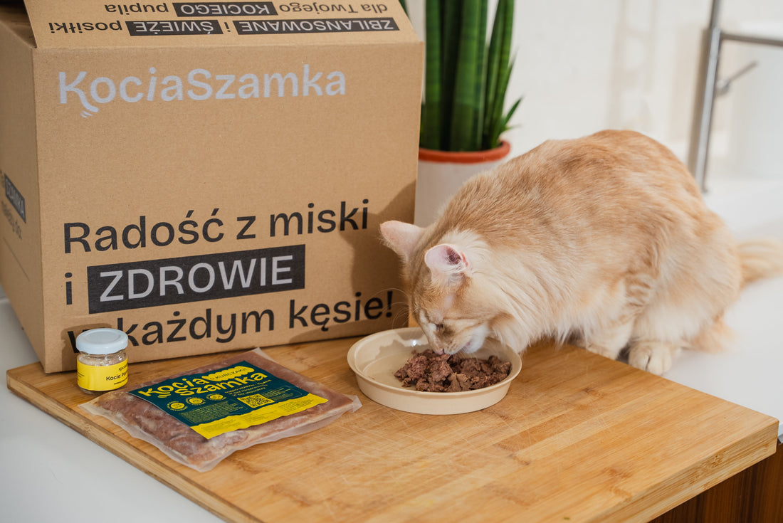 Catering dla kota z dostawą – jak wygląda dostawa krok po kroku?