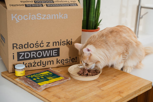 Catering dla kota z dostawą – jak wygląda dostawa krok po kroku?