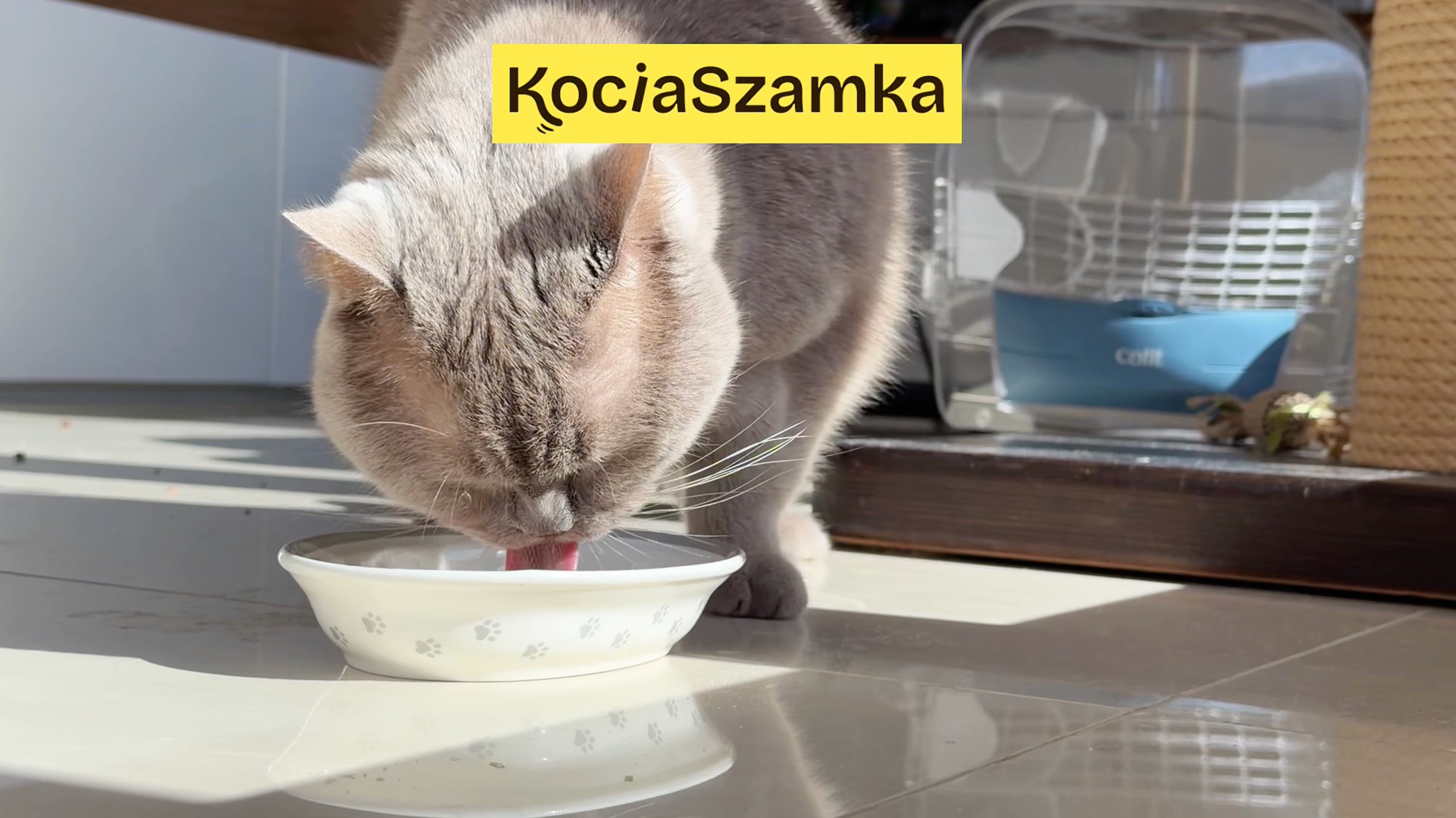 Załaduj film: 
